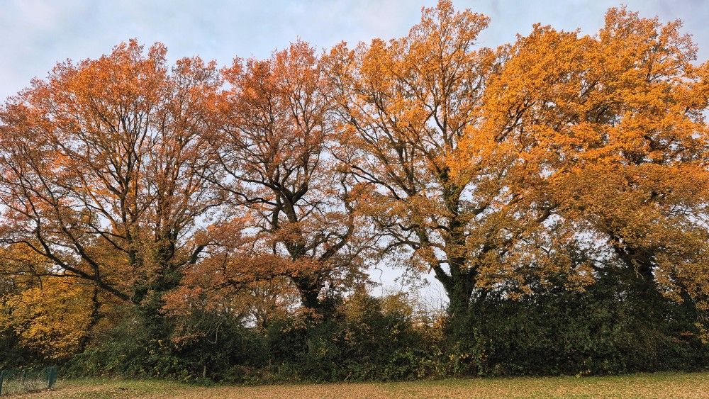 Hauptgebäude Seminarhof