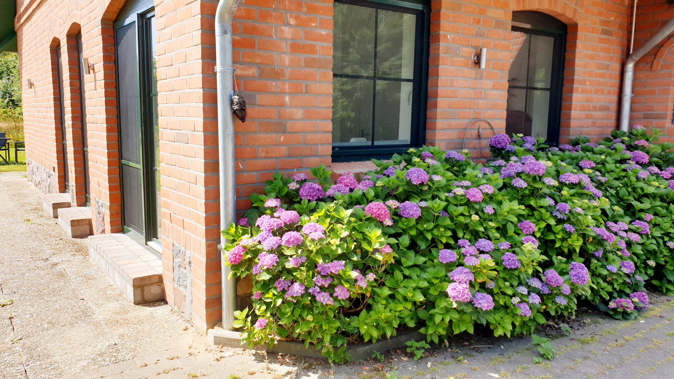 Bodentiefe Fenster im Seminarraum