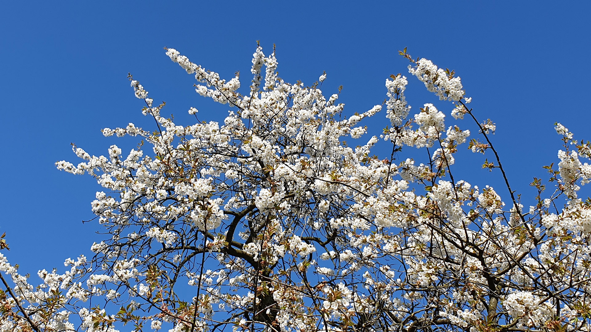 Natur am Seminarhaus