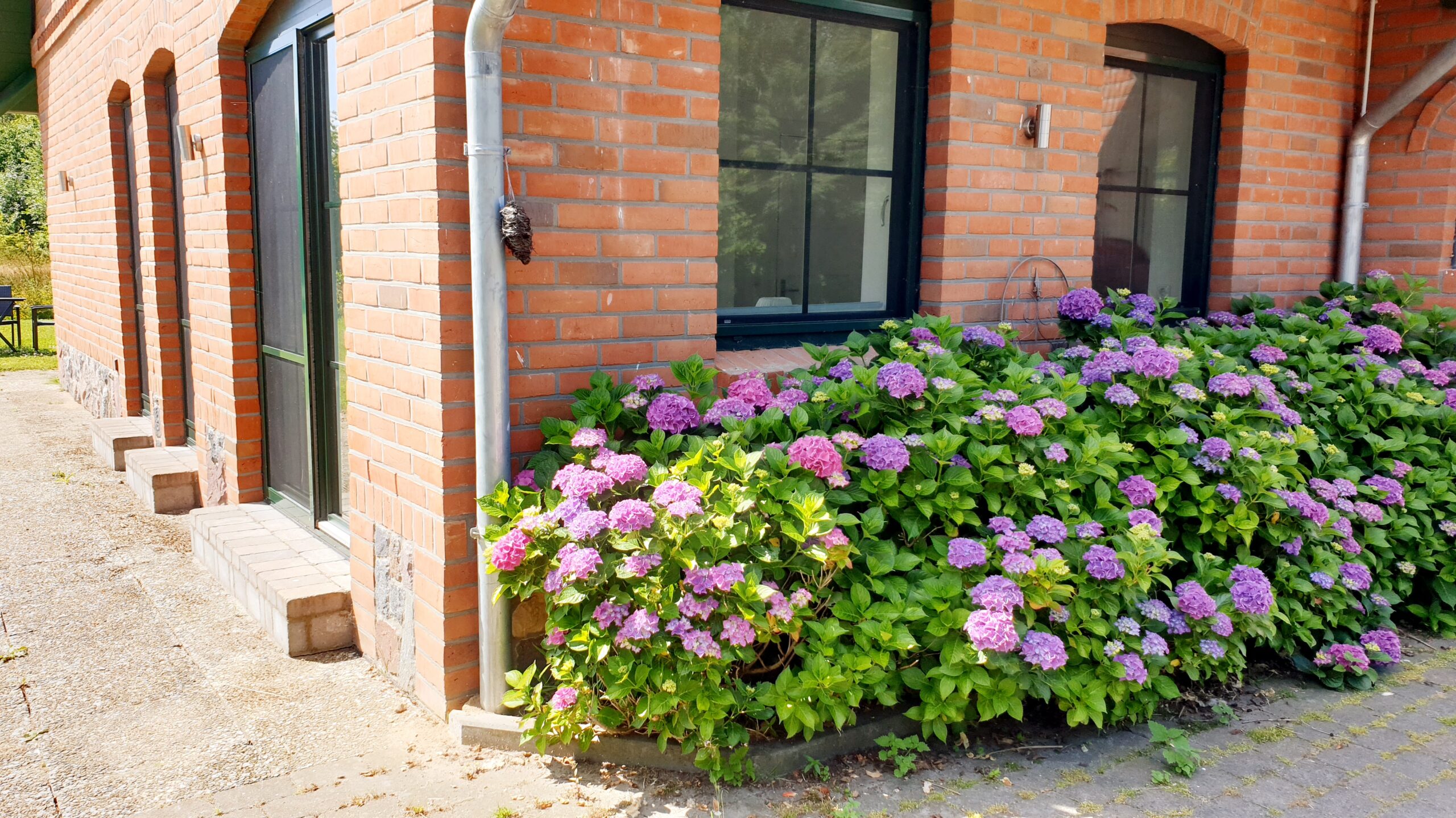 Bodentiefe Fenster im Seminarraum