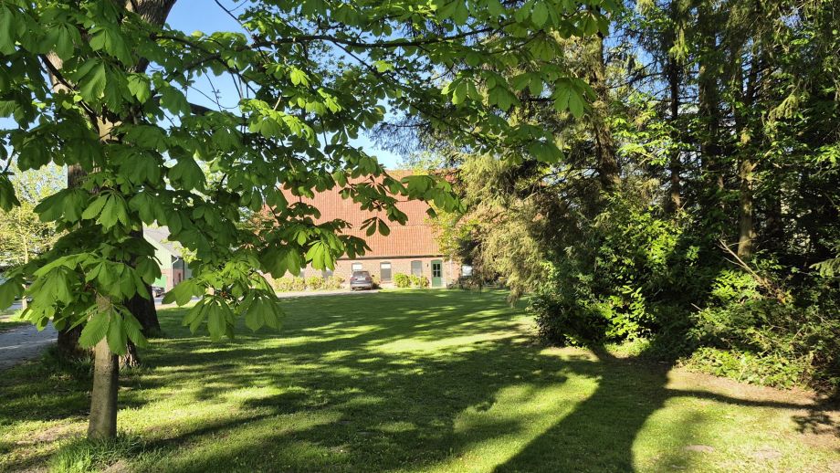 PLatz für Outdooraktivitäten vor dem Haus